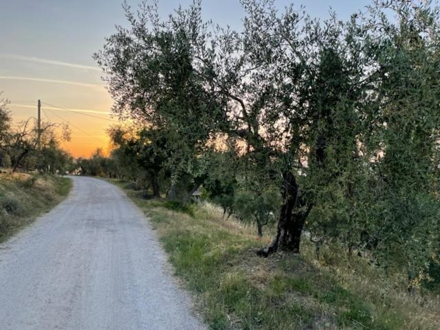 Podere Zelmira Sinalunga Luaran gambar